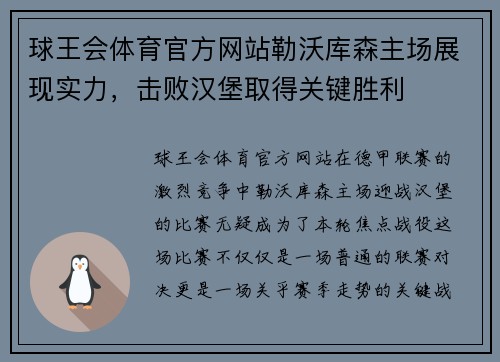 球王会体育官方网站勒沃库森主场展现实力，击败汉堡取得关键胜利